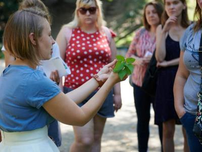 Festiwal Sztuk Wizualnych. Relacje 2019 w obiektywie i kamerze