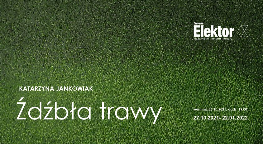 grafika: zielona powierzchnia podobna do trawy