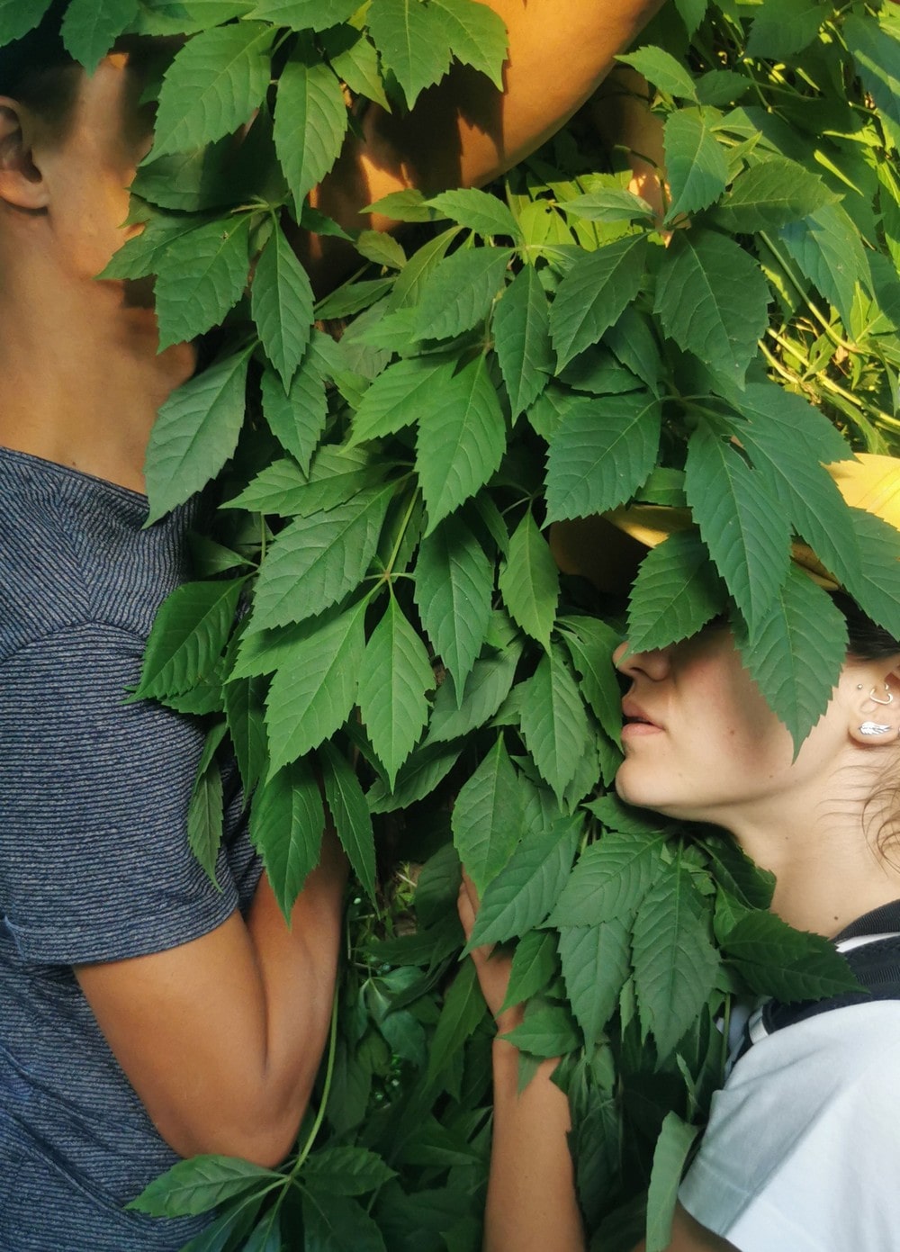 fotografia: kobieta i mężczyzna stojący wśród roślin, twarze niewidoczne