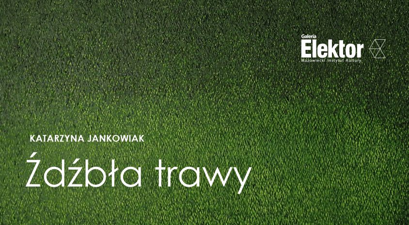 Do 22 stycznia, Warszawa | Katarzyna Jankowiak „Źdźbła trawy”, Galeria Elektor