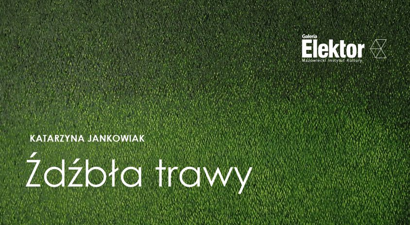 grafika: zielona powierzchnia podobna do trawy