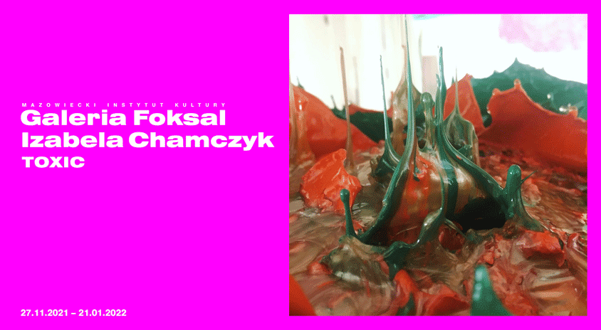 Do 21 stycznia, Warszawa | Izabela Chamczyk TOXIC – Galeria Foksal
