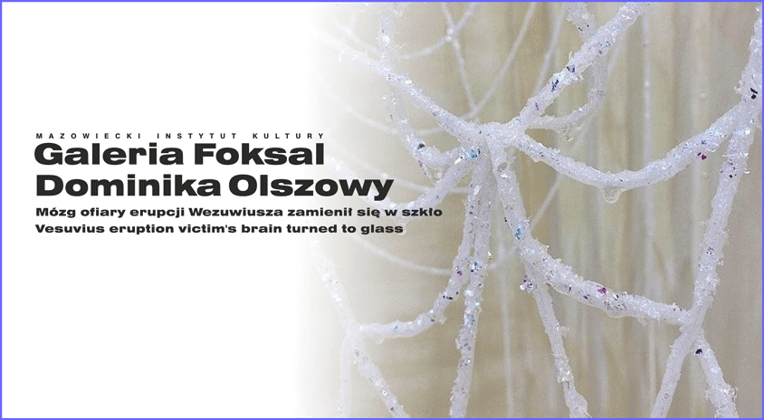 Do 2 listopada, Warszawa | Dominika Olszowy „Mózg ofiary erupcji Wezuwiusza zamienił się w szkło”, Galeria Foksal