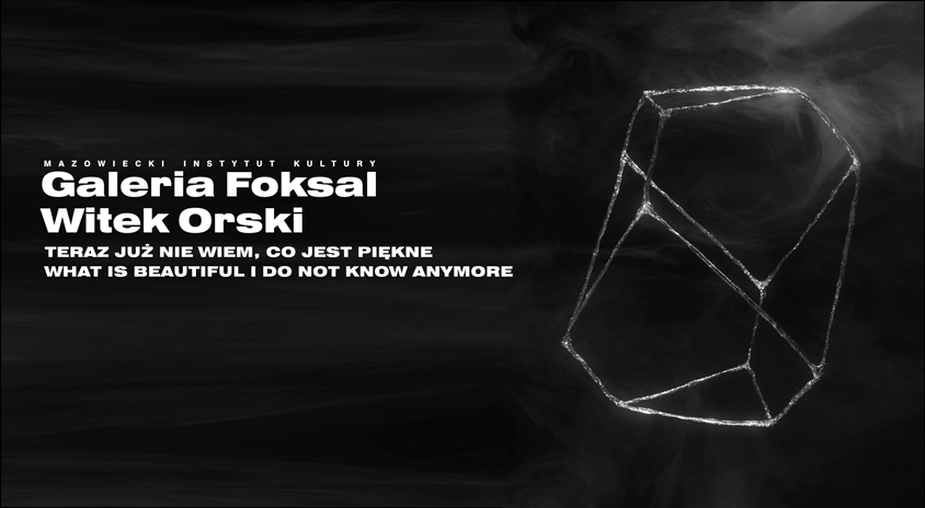31 marca, Warszawa | Witek Orski „Teraz już nie wiem, co jest piękne”, Galeria Foksal