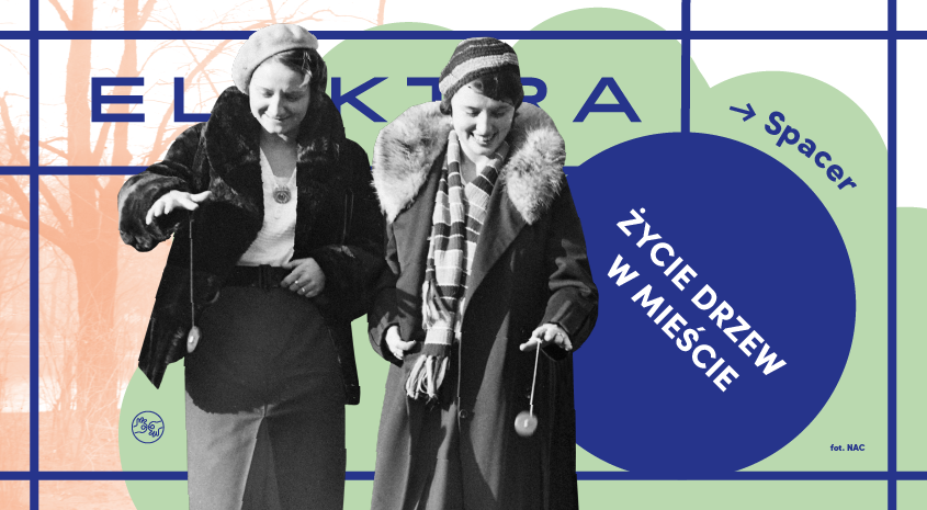 15 kwietnia, Warszawa | Spacery z Elektrą. Spacer dendrologiczny