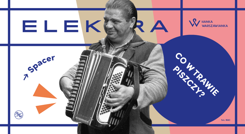 13 czerwca, Warszawa | Spacery z Elektrą: Co w trawie piszczy – przechadzka dźwiękowa