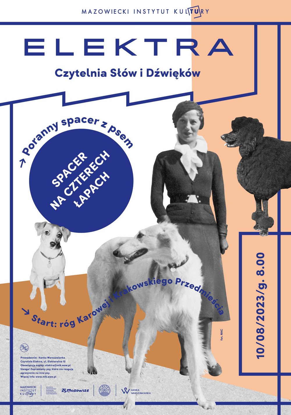grafika kolaż czarno białych zdjęć psów
