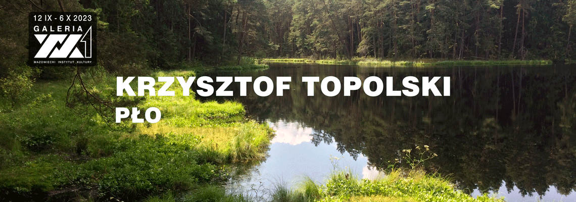 grafika fotografia fragmentu jeziora wśród lasu