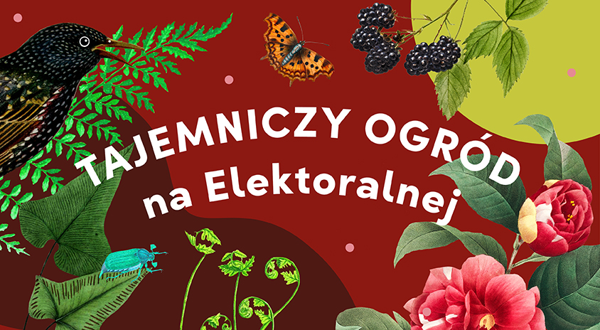 TAJEMNICZY OGRÓD – zakładanie ogrodu społecznego: budowanie gleby