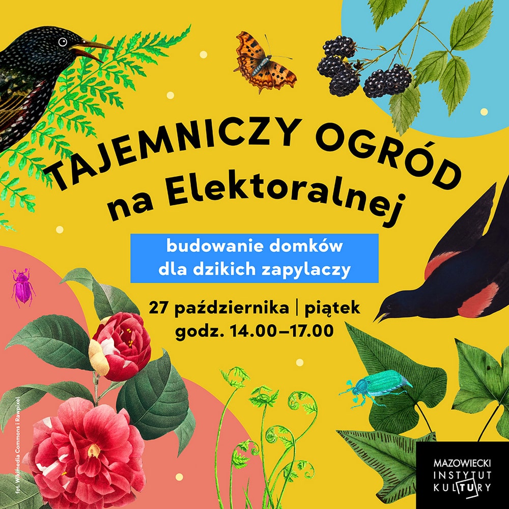 grafika na żółtym tle rysunki ptaków, motyli, roślin i kwiatów