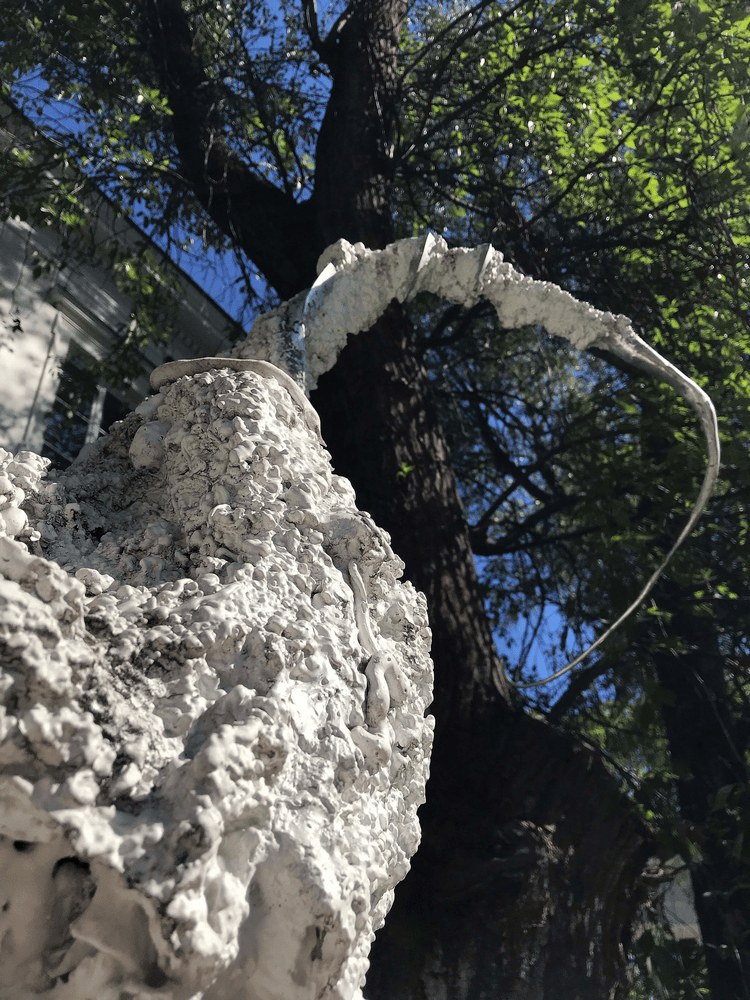 fotografia fragment rzeźby abstrakcyjnej na tle pnia drzewa