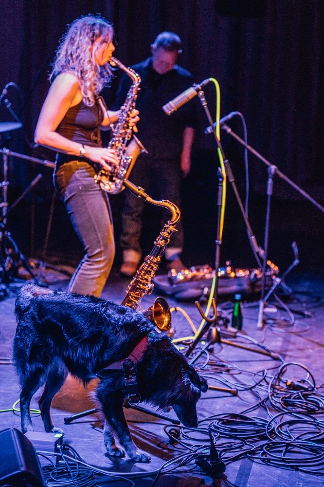 fotografia kobieta gra na saksofonie na pierwszym planie pies