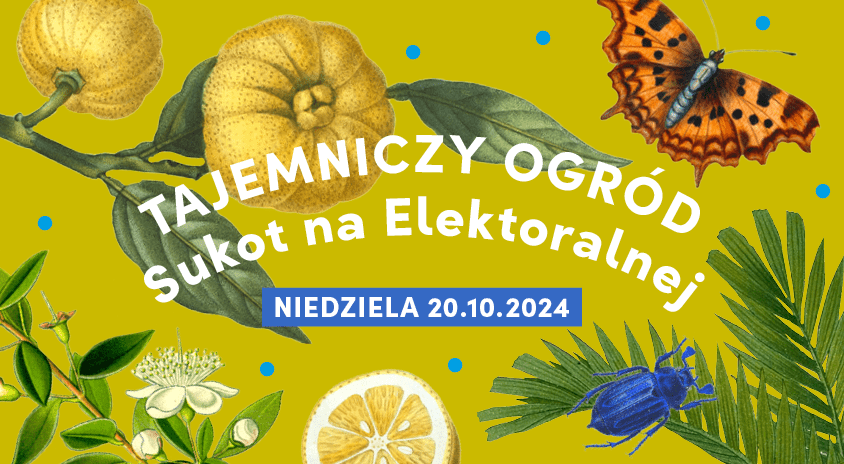 grafika informacyjna na żółtym tle rysunki roślin owadów i ptaków oraz napisy