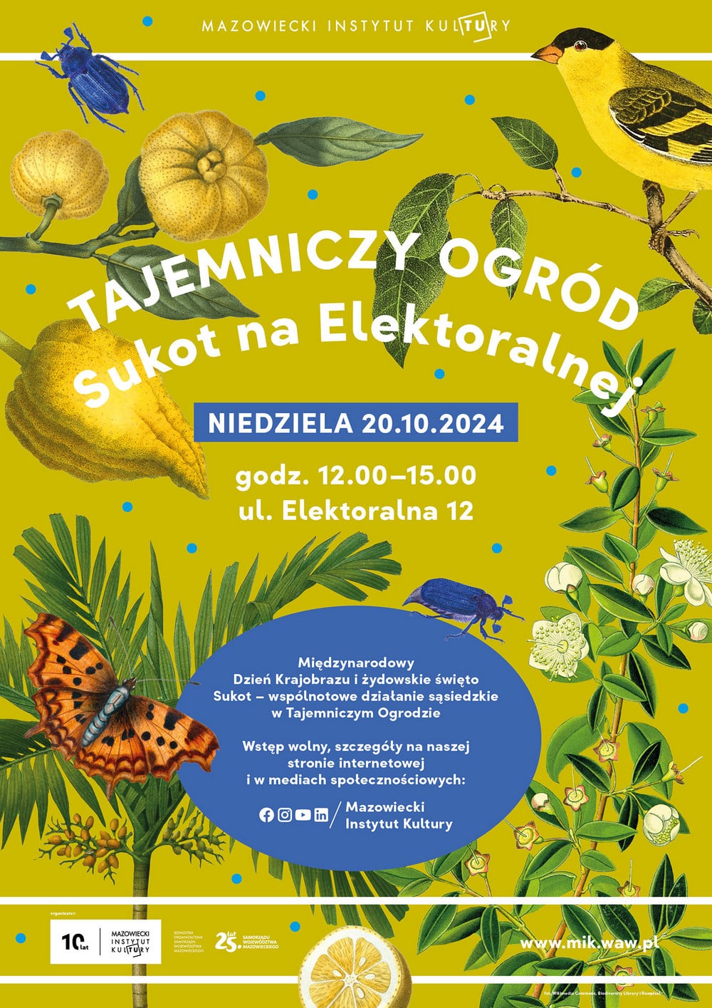 grafika informacyjna na żółtym tle rysunki roślin owadów i ptaków oraz napisy