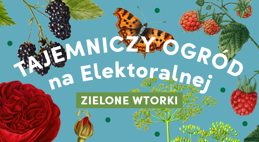 1 lipca | Tajemniczy ogród. Moc żywiołów i pieśni lata. Zielone wtorki