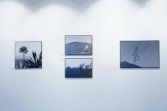 fotografia - cztery zdjęcia przedstawiające pejzaż wiszące na ścianie w galerii